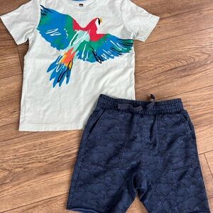 Tea Collection Outfit -Colorful Parrot T-Shirt and Navy Wave Shorts Set
